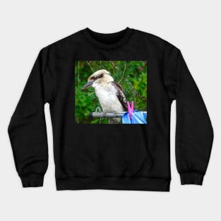 Kookaburra on the Clothesline! Crewneck Sweatshirt